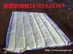 涿州草帘被阻燃草帘被,防火草帘岩棉被