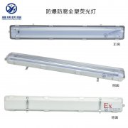 2×18W220VExdIICT4防爆双管LED洁净灯