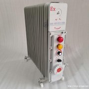 BYT-2KW11片220VEx防爆电暖器电热油汀