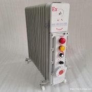 BYT-3000W13片ExdIIBT3防爆电热油汀