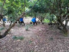 惠州元宵节聚餐首选果盛生态园