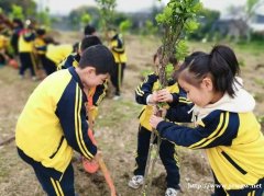 惠州学校公益植树活动