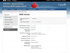 持有加拿大MSB牌照可上外汇天眼