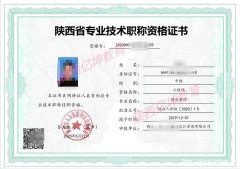 陕西省2022年省人才评审范围报送资料要求