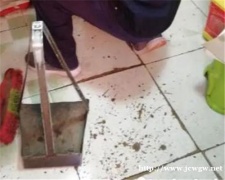 包头灭蟑螂公司详细说明了家里蟑螂不干净的原因。