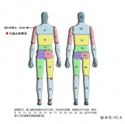 暖体假人着装试验研究