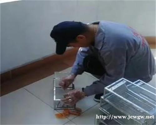 鹰潭消毒公司认为别人住的房子怎么消毒? 鹰潭消毒公司认为别人住的房子怎么消毒?