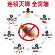 台州灭蟑螂公司是如何能把蟑螂轻松杀灭
