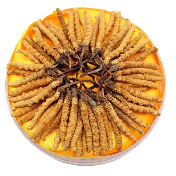 原阳县回收礼品礼品 茅台酒 冬虫夏草回收热线 原阳县回收礼品礼品 茅台酒 冬虫夏草回收热线