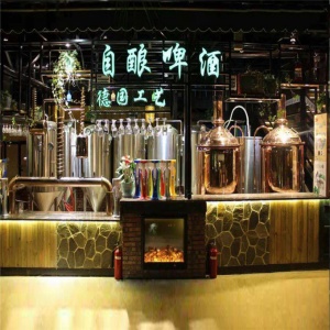 支持定制个性化精酿啤酒设备