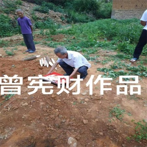 江西风水先生阴宅风水寻龙点穴
