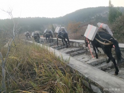 马帮运输队