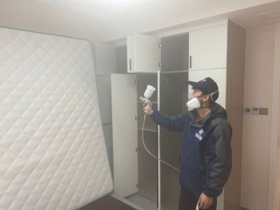 除甲醛公司揭秘植物净化甲醛的真相与常见误区