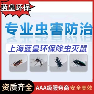 上海灭四害消杀公司上门灭鼠除虫蟑螂源头治理专业施工