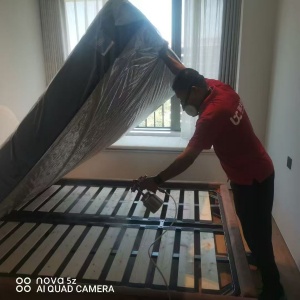 三亚除甲醛公司告诉你如何减少甲醛，避免甲醛对我们的健康造成危害?