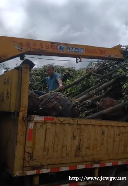 25 吨随车吊在凯里租赁,需要提前多久预约? 25 吨随车吊在凯里租赁,需要提前多久预约?