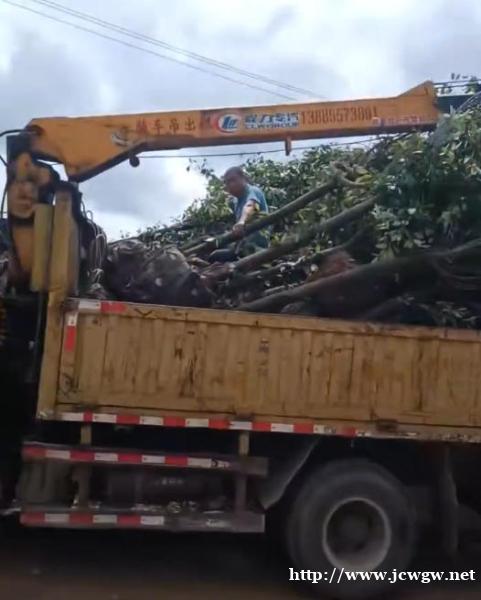 凯里随车吊租赁,选择带司机和不带司机哪种更省心? 凯里随车吊租赁,选择带司机和不带司机哪种更省心?