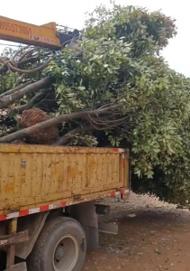 凯里随车吊出租价格是否包含操作人员费用?答案在这里