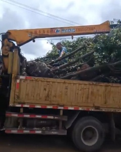 凯里随车吊租赁,选择带司机和不带司机哪种更省心?