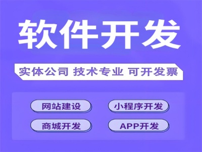 南昌为企业设计制作定制网站商城APP软件