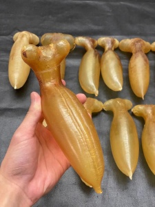 广东有21个地级市,33个县级市,43个县,3个自治县,43个市辖区均可上门回收