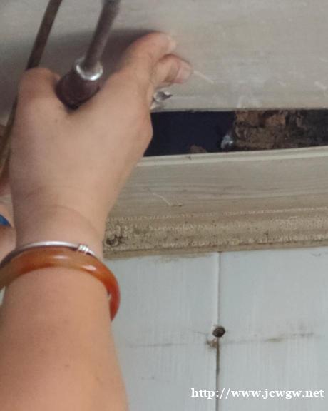 公园绿地有红火蚁巢穴,韶关哪家公司能安全清除? 公园绿地有红火蚁巢穴,韶关哪家公司能安全清除?