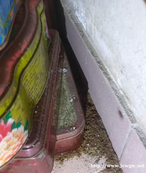 家中木质家具被白蚁蛀坏,韶关哪家公司能修复并防治? 家中木质家具被白蚁蛀坏,韶关哪家公司能修复并防治?